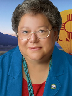 Nancy Marie Bearce 2020 Bernalillo Country Treasurer Candidate
